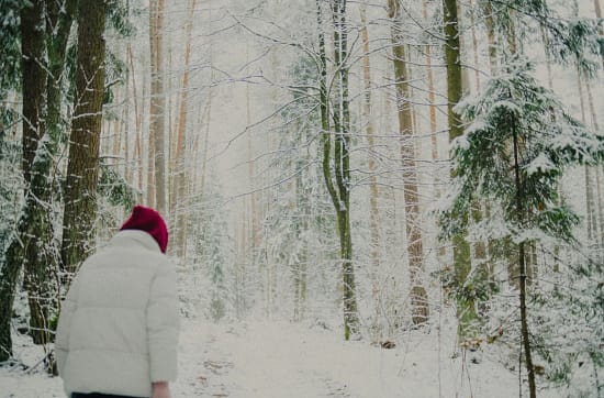 Emotionales Essen an Weihnachten: verstehen, entspannen und anders handeln